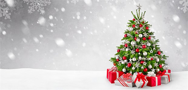 Weihnachtsbaum